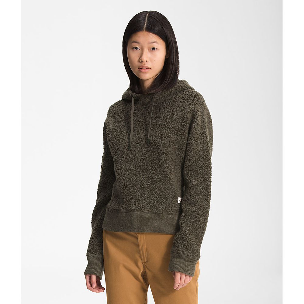 The North Face Hoodie Womens Australia - The North Face Wool Harrison Pullover Green (RWM-814359)